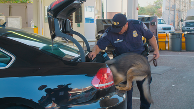 Borderforce USA: The Bridges