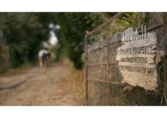 Ouzo And Blackcurrant