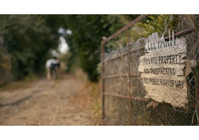 Ouzo And Blackcurrant