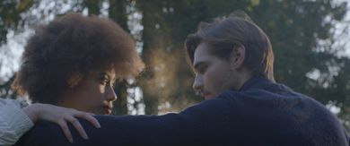 The Wound Is Where The Light Enters