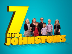 7 Little Johnstons
