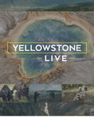 Yellowstone Live for National Geographic