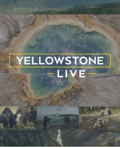 Yellowstone Live - National Geographic