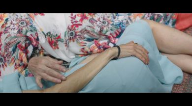 Polar Bears in The Desert