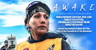 Awake, a Dream From Standing Rock