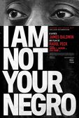 I am not your negro