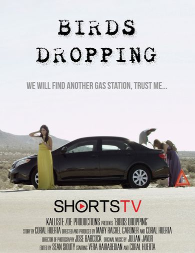 Birds Dropping