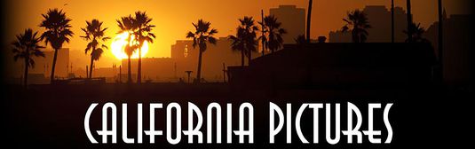 Digital Media Marketing