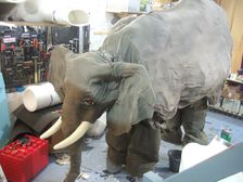 Elephant puppet - P&O Cruises