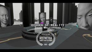 Echoes of Reality - Drone Walkthrough