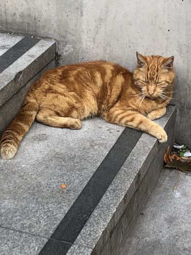 Somethin' Else | Sony Music Entertainment