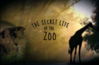 The Secret Life of the Zoo