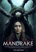 Mandrake