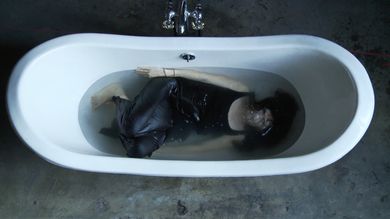 Negative Feedback Loop