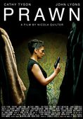 Prawn