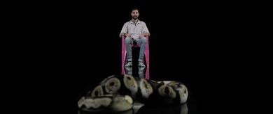 Snakes, Fear and Me