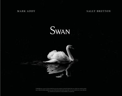 Poster - Swan