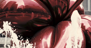 The Sonnet Project # 153