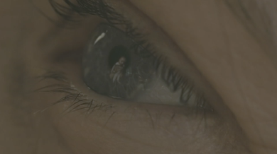 Dove - A Mothers Body