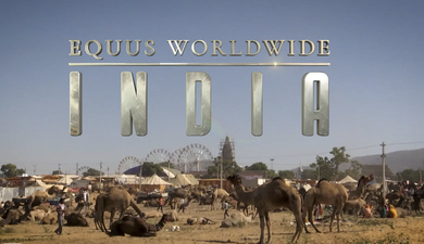 Equus Worldwide India