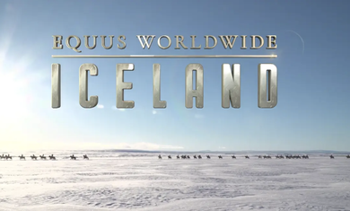 Equus Worldwide Iceland