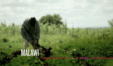 The Global Collaboratory