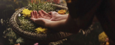 Stella McCartney - Collection S/S 2019