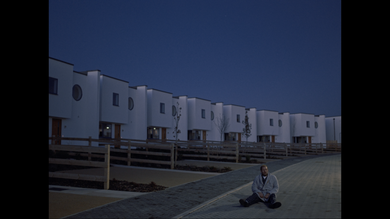 ITS DOG TO MAKE A HOUSEPLANT IF YOU'RE SANDWICH