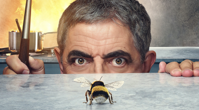 MAN VS BEE