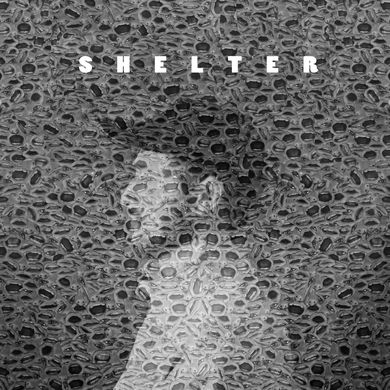 Shelter - Dale May