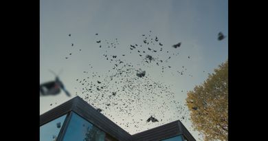 Skin of Water | پوست آب