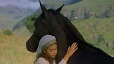 The Young Black Stallion (IMAX)