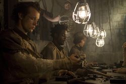 Butterflies of Trip City