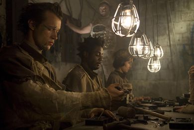 Butterflies of Trip City