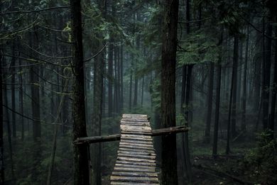 The Moment - feature documentary