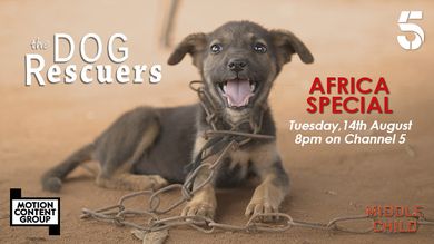 The Dog Rescuers Africa Special