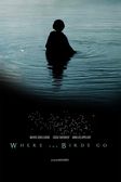 Where the birds Go
