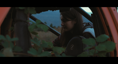 Woods That No One Owned