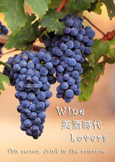 Wine Lovers