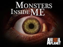 Monsters Inside Me