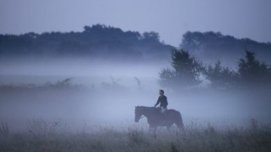 "Tears" Nikon Commercial
