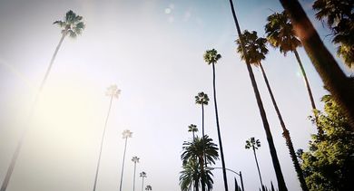 The Palms - "Stupid L.A. Love Song"