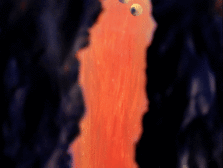 something's bugging me