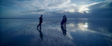 Sea, Swallow Me