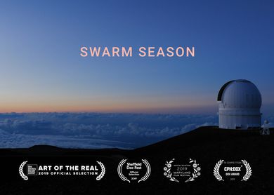 SWARM SEASON