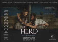 The Herd