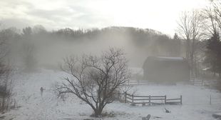 Woodford County