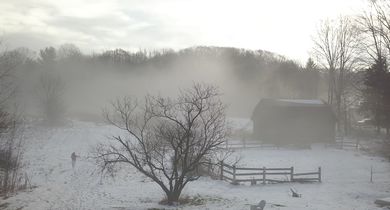 Woodford County
